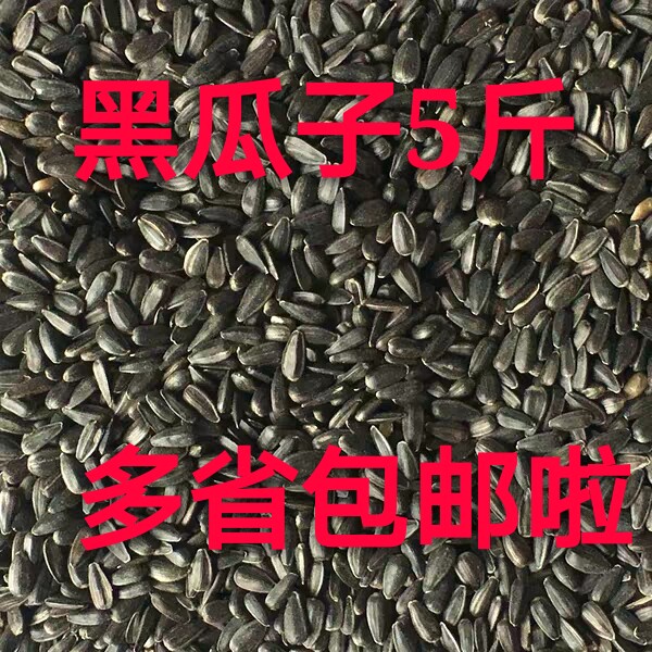 Black pearl small black melon sunflower sunflower seed oil sunflower seed bird food hamster grain and bird grain dove grain 5 catties