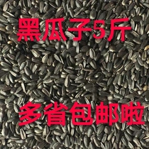 Black Pearl small black melon seed sunflower seed bird food bird food pigeon food more than 5 jin of provinces