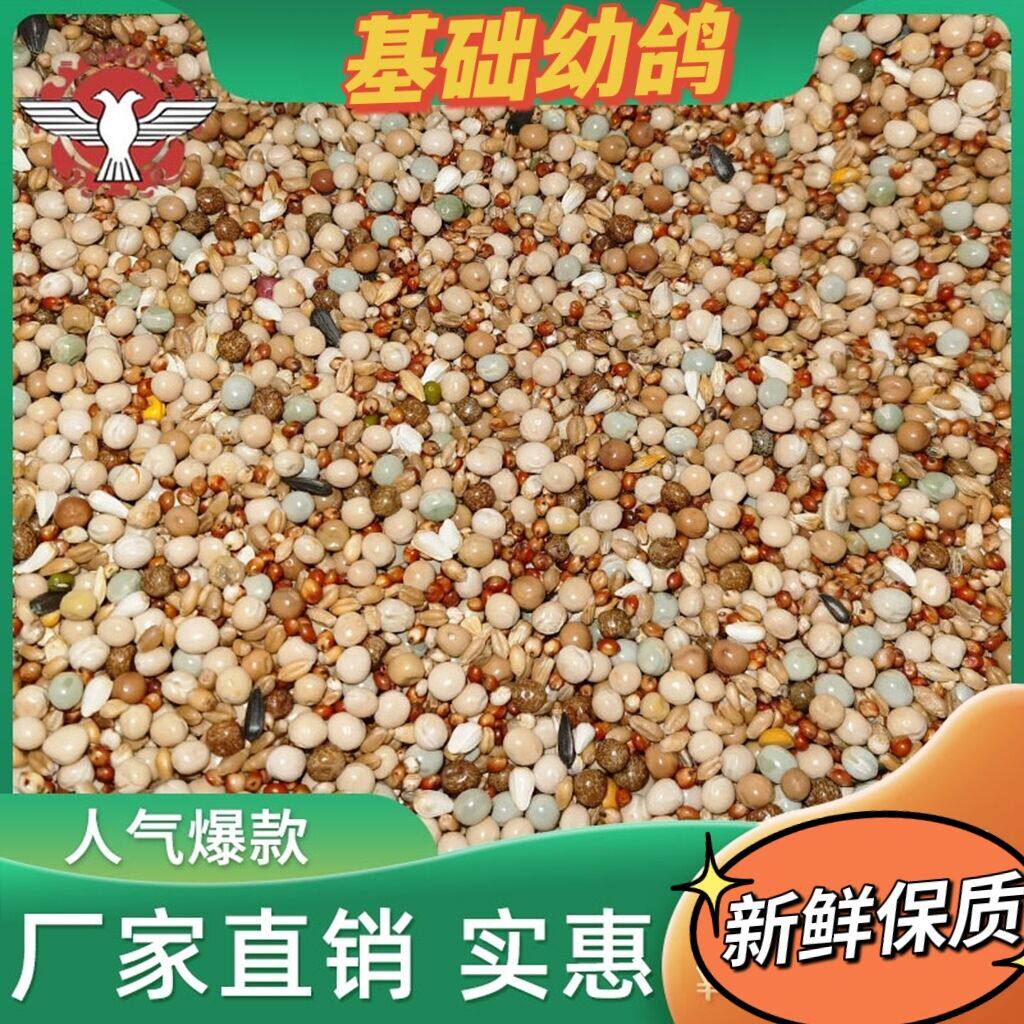 Pint Dragon War Dove A Class Young Dove Grain Pigeon Grain Without Corn Young Pigeon Grain Letter Pigeon Eating 50 Jin