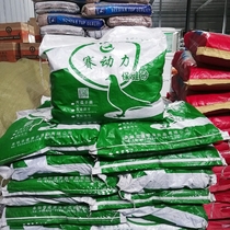 Race Power Racing Pigeon Pigeon Viewing Pigeon Special Health Care Sand 20 Jin Jiang Zhejiang Shanghai