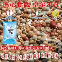 Beijing Annual Crown Dove Grain 10 Base Grain No Corn Young Pigeon Grain Pigeon Feed Bird Food 50 Catty of Zhejiang Province