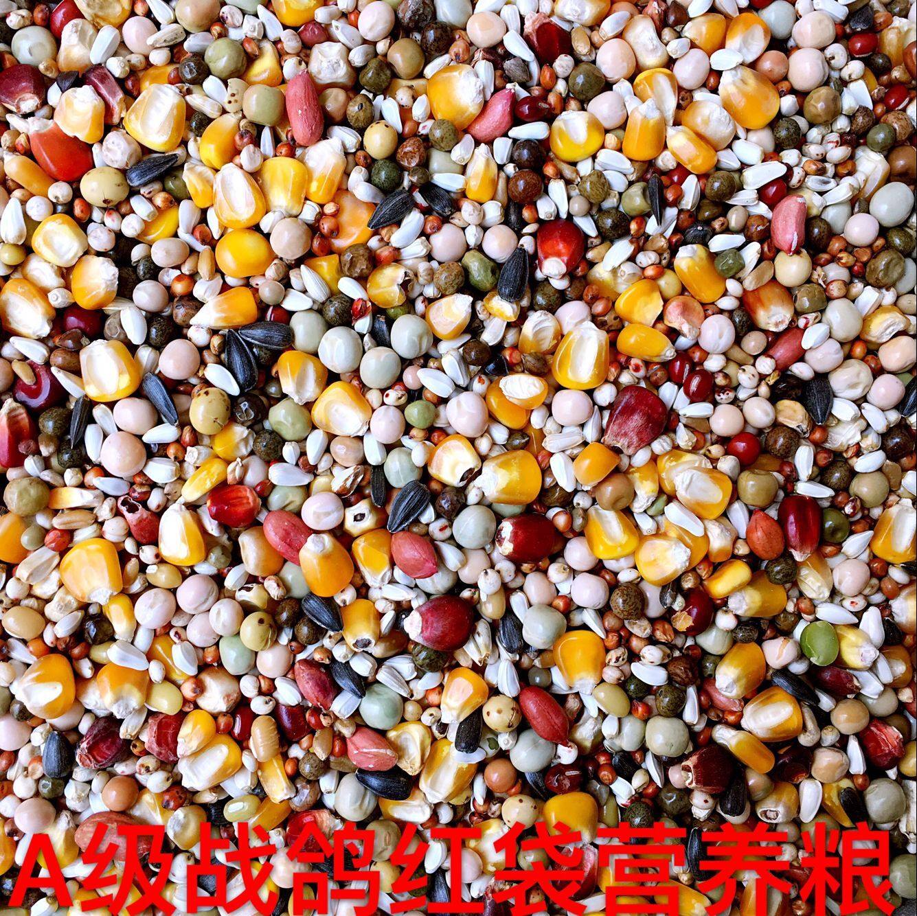 Battle dove special A boutique pigeon grain with corn nutrient dove feed syripigeon viewing dove grain 50 catty