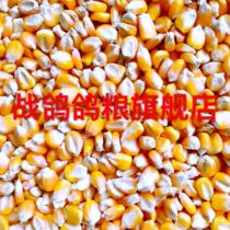 Farm bulk dry corn kernels new corn chicken duck Bird pet animal feed coarse grain pigeon grain more than 5 jin of provinces