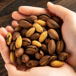 Open torreya seeds 2025 new arrival zhuji specialty 250g/can open and easy to peel