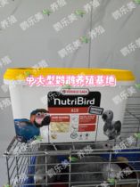 Talking Big Bird Blue and Yellow Gray Machine Sunflower Eclectic Golden Tai and Other Universal Versailles Parrot Feed