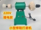 220V Plug -In Model