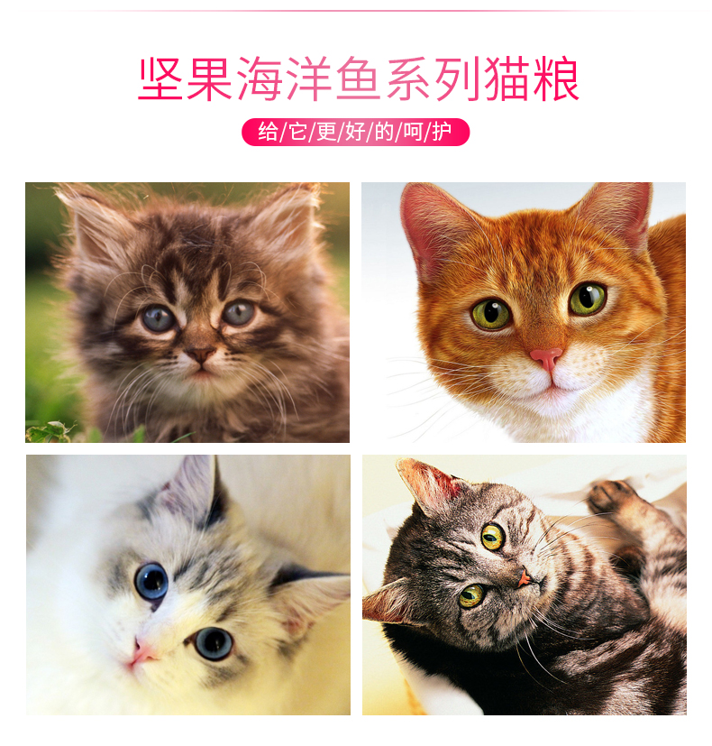 Mukang Salmon + Ocean Fish Cat Food Cat Cat General Hairy Cat Food Tổng cộng 10 kg - Cat Staples mèo ăn hạt có tốt không