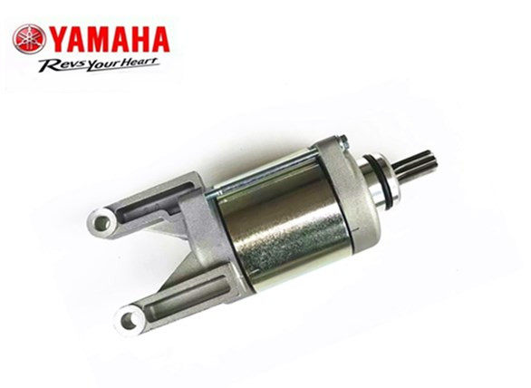 Mountain Leaf Sky Sword King Flying To 250 Motor Mountain Leaves YS250 Motor Start Motor