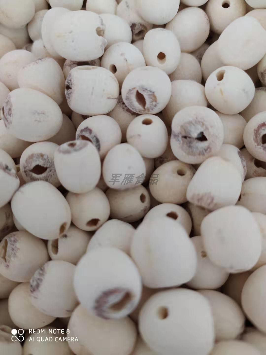 2021 Honghu fresh cored dried lotus seeds raw dried lotus seeds White dried lotus seeds Qinghuo delicious 1 catty