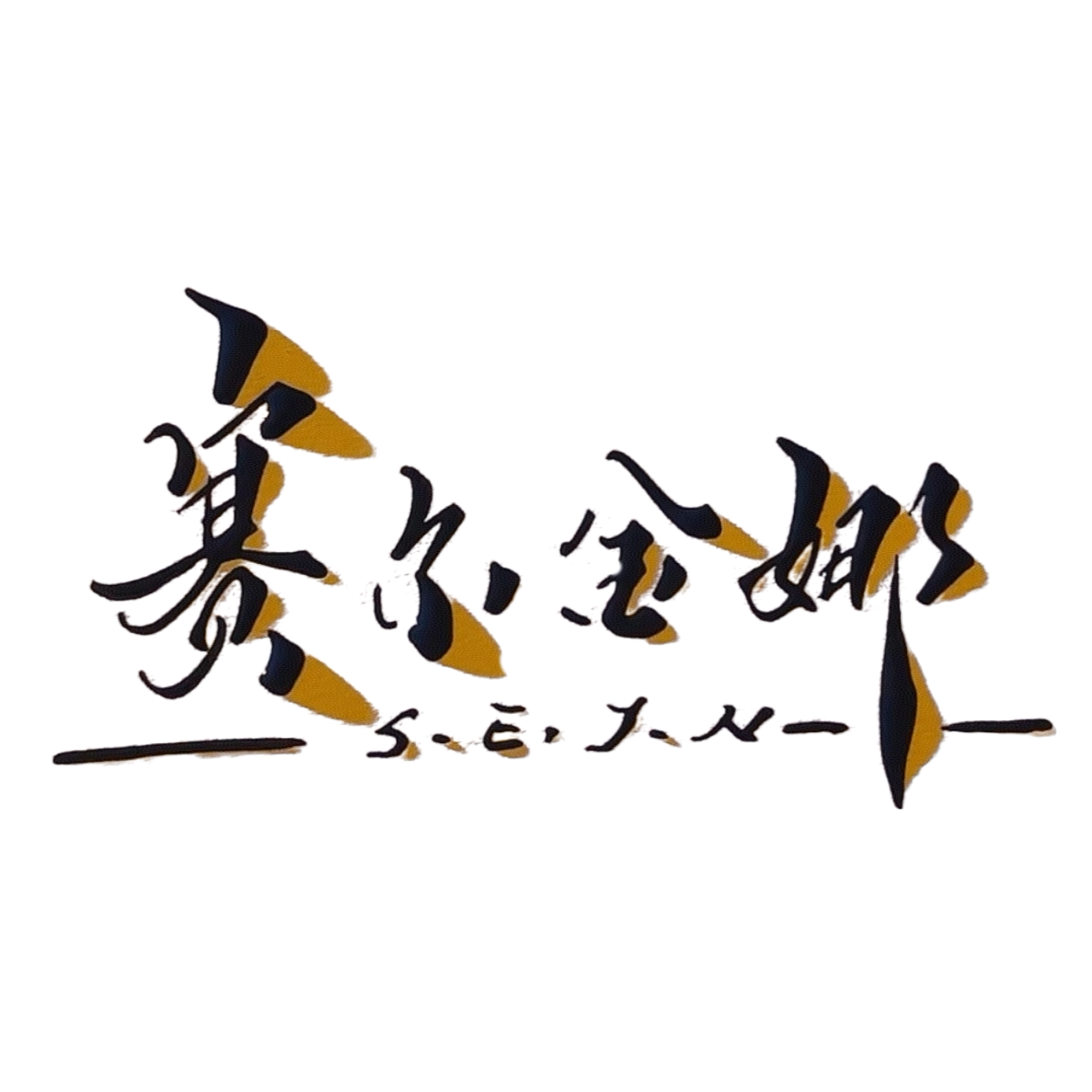 AiNa赛尔金娜的LOGO