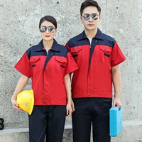 Тибетский синий плеч