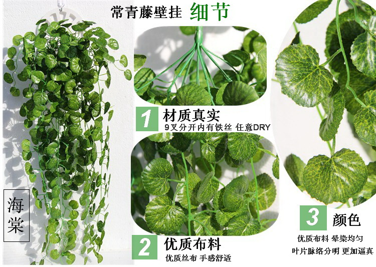 Mô phỏng cây thường xuân trồng trong chậu treo tường hoa lan treo lá củ cải xanh trang trí treo cây nho trồng cây xanh 绢 hoa - Hoa nhân tạo / Cây / Trái cây giá lan giả hạc rừng