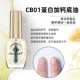 Белок CB01 Plus кальциевый базовый масло (первый шаг перед дном, доспехи питания, увеличение адгезии)