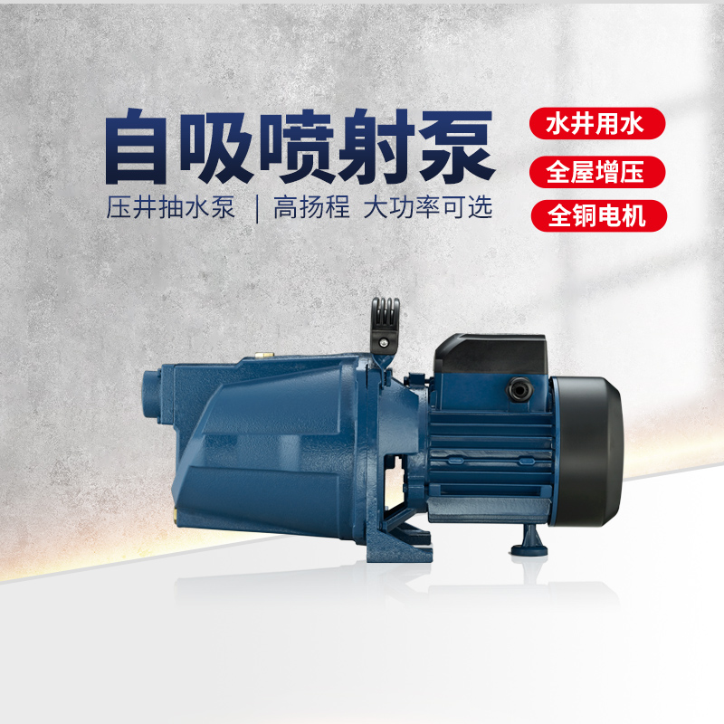 Dayuan self - suction pump pump pressurized pump pump pump pump JET 220V jet pump