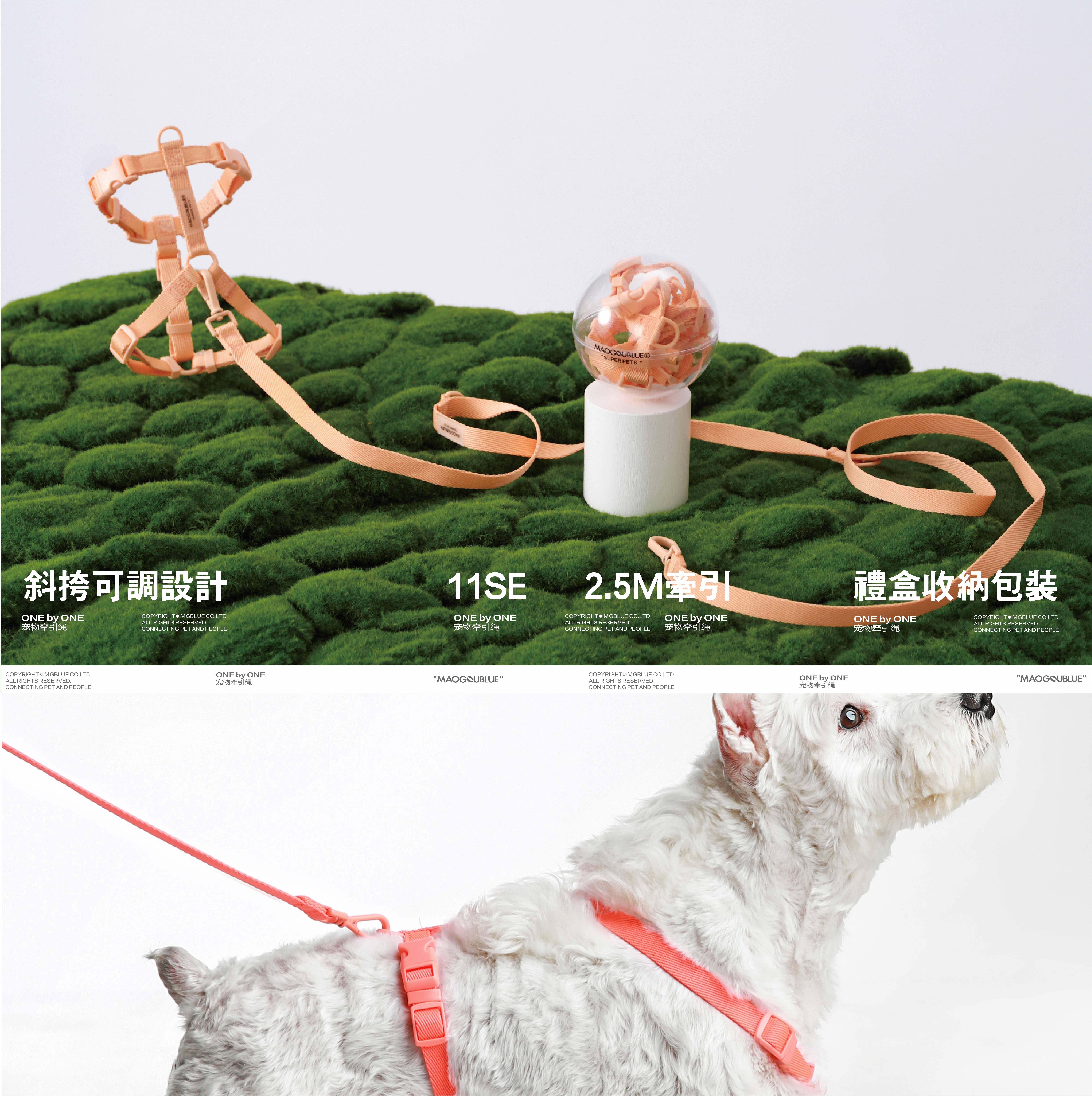 QZee MAOGOUBLUE Dog Traction Rope Walk Dog Teddy Vest Collapse Bag Bag Bag Bag Bag Bag Bag Bag Bag Bag Bag Bag Bag Bag Bag Bag Bag Bag Bag