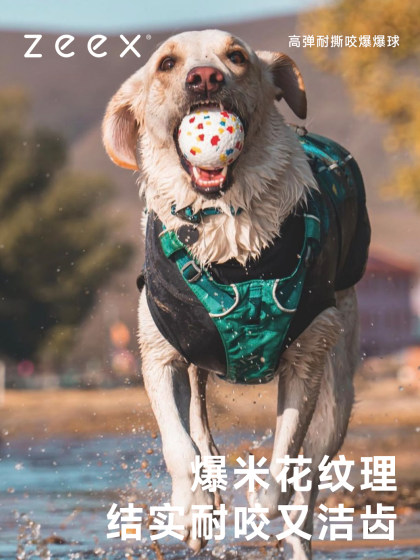 QZee咬不坏狗狗玩具爆爆球宠物解闷游泳浮水爆米花磨牙小中大型犬