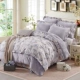 Ai tổ phiên bản Hàn Quốc của bộ lông cừu san hô bốn mảnh set Thicken Falais bốn mảnh flannel quilt bao gồm bộ đồ giường ấm áp