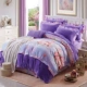 Ai tổ phiên bản Hàn Quốc của bộ lông cừu san hô bốn mảnh set Thicken Falais bốn mảnh flannel quilt bao gồm bộ đồ giường ấm áp