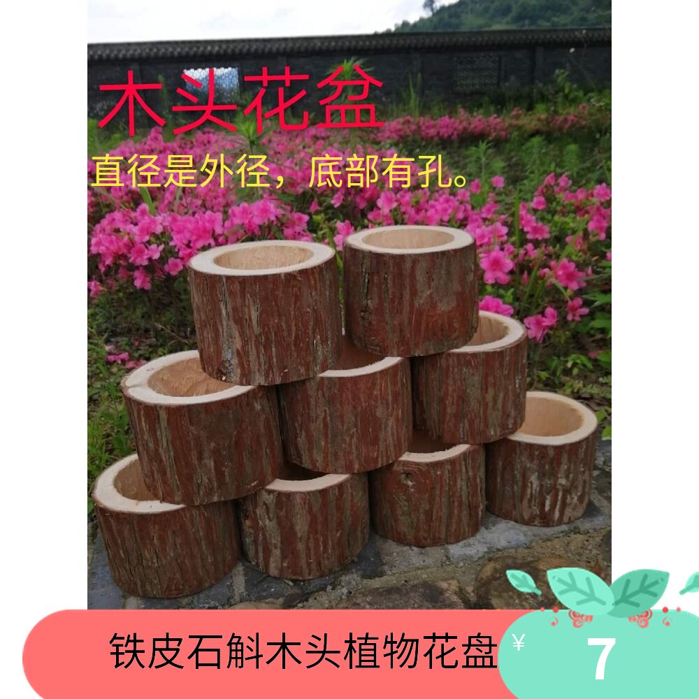 Wood pile flower disc Multi-meat plant Flower disc Dendrobium Candidum Tree Stumps Log Natural Wood Creative Wood Flowerpots-Taobao
