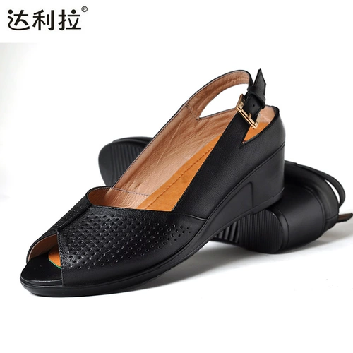 は は 阕   剐 剐 て f て て て て