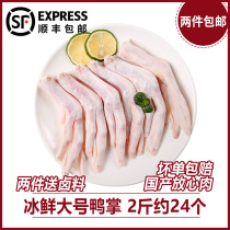 (SF Express) Big duck palm fresh duck claw frozen Big Duck Palm 2kg duck foot duck marinated ingredients