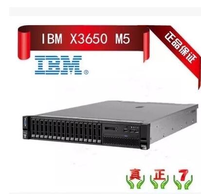 IBM Server X3650M5 5462I25 Zhiqiang E5 2609v3 8GB 0G 2u Rack Mount
