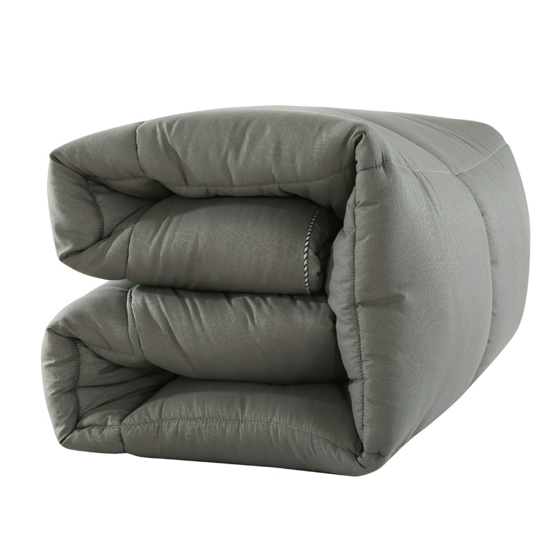 Dream Master Quilt Quilt Core Autumn Winter Single Double Warm Thickening Cotton Quilted by students Close and breathable