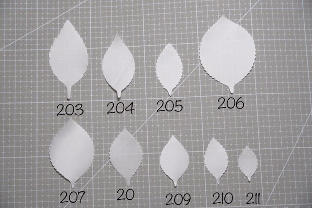 Japan imports 100 pieces of leaf in flower pieces