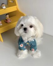 Eat Endless Snail pink Pet Clothes Puppies Lining Clothes Flowers small clothes Spring Summer and autumn Winter can be worn