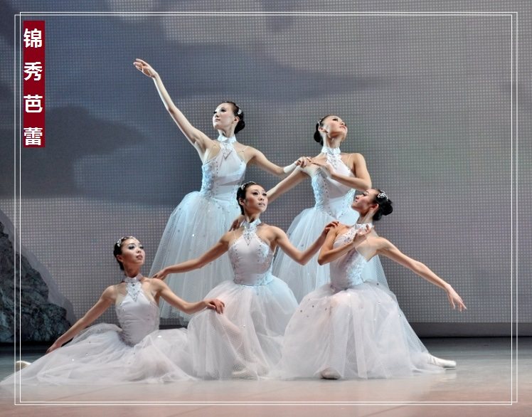 Large Gala Stage Performance Costume Adult Ballet Companion Dancer Dress Rehearsal Dress Professional Ballet for a Chorus Costume