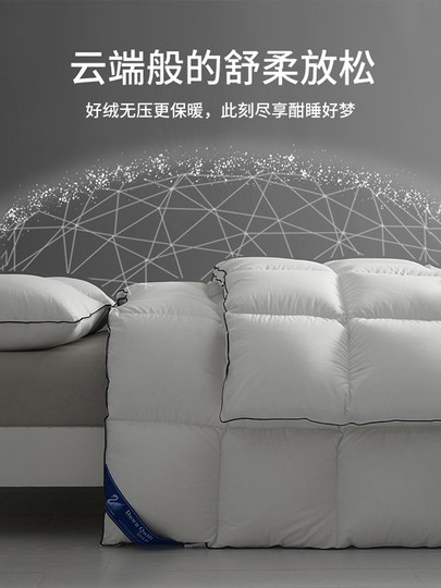 Down quilt winter quilt thickened warm quilt winter quilt core winter 95 white goose down white duck down quilt hotel spring and autumn quilt core