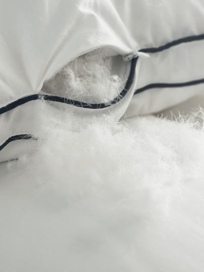 Down quilt winter quilt thickened warm quilt winter quilt core winter 95 white goose down white duck down quilt hotel spring and autumn quilt core