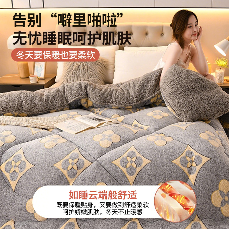 Antarctic Winter Lamb Wool Quilt, Single Thickened Warm Milk Velvet Cotton Quilt, Quilt Core for Dormitory, Spring and Autumn Quilt