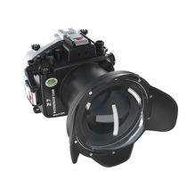 Sea frog seafrogs Nikon Nikon camera waterproof shell Z7 underwater photography applies diving shell surf drift
