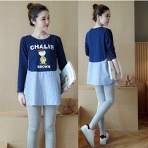 Pregnant Woman Spring Clothing Suit Fashion style net red new two sets Spring autumn medium long blouses Long sleeves loose pregnant woman t-shirt