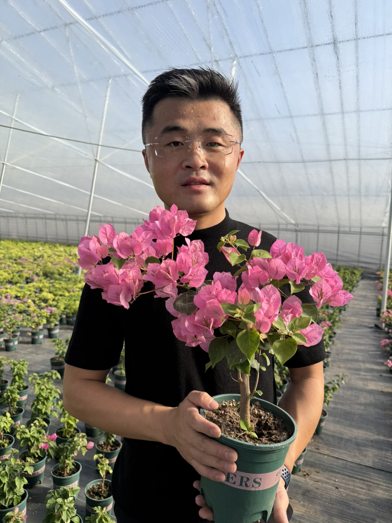 老花医热植馆