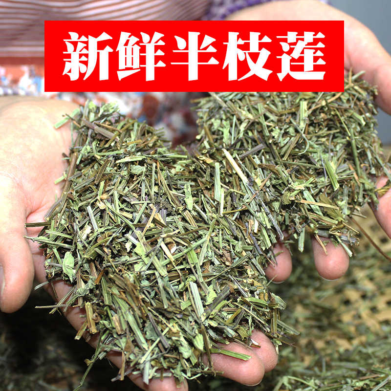 Fresh No Sulphur Lavender Dry Herb Bagged 500 gr Other sale of oldentongue Tongue Grass Yao Xiaoai