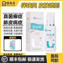 Companion Refreshing Spray Accompanied with Dogs Cat Mite Fungal Infection Cat Ringworm Bacteria Abscess And Anti-Itching Anti-Hair Spray