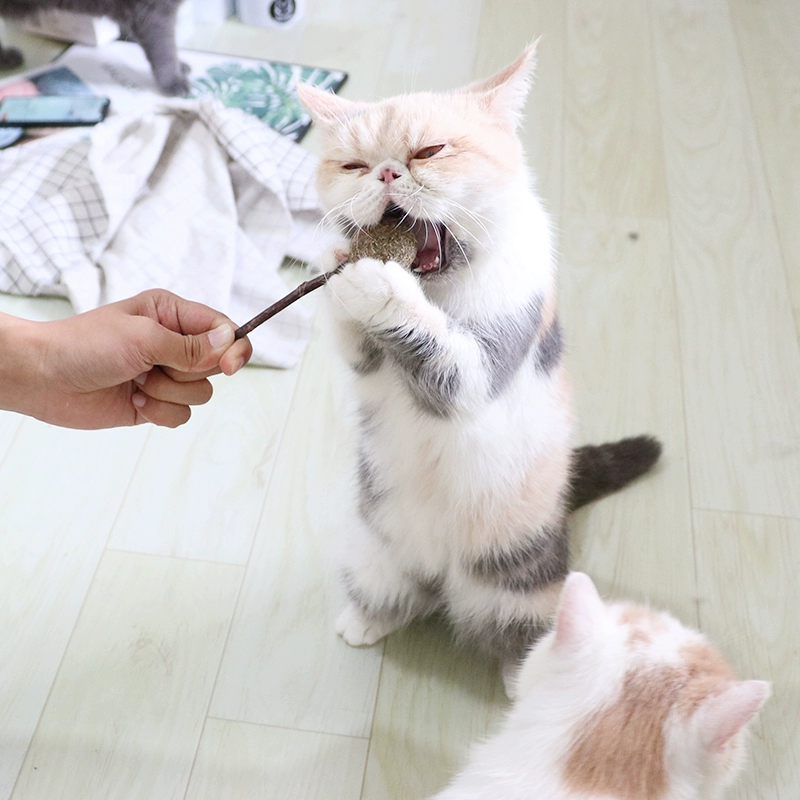 Catnip Ball Cat Snack Cat Grass Hair Hair Hair Hairball Funny Cat Toy Molar Răng Răng Mu Tian Mo Mo - Đồ ăn nhẹ cho mèo