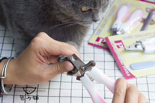 Домашние ногти срезайте кошачьи гвоздь щенка.