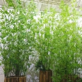 Открытый ландшафтный бамбук фальшивый бамбук 4 метра высотой бамбук