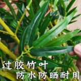 Поддельная бамбуковая симуляция растения шерсть бамбуковая перегородка экраны гостиная