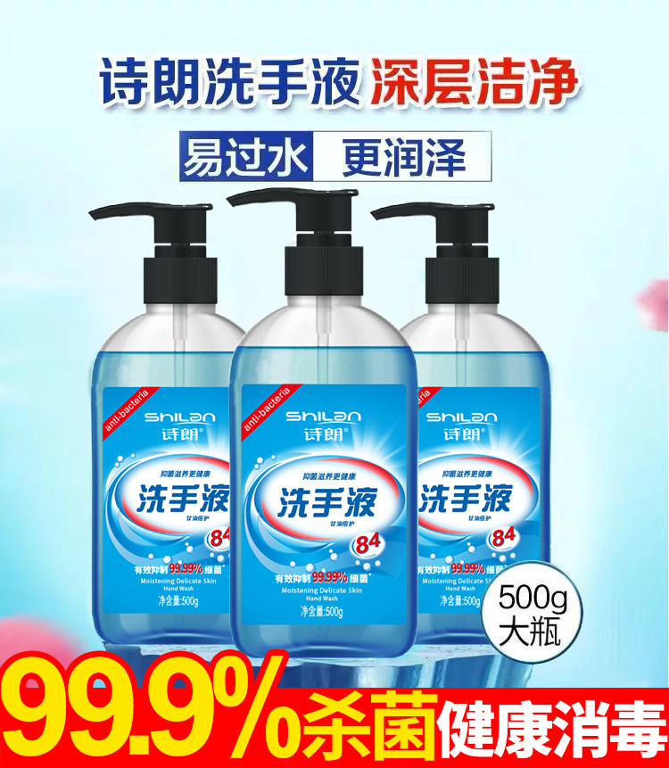 Poetry Lang Bacteriostatic Sanitizing Clean Decontamination Aloe Vera Nourishing Disinfection of Children Students Home Press Bottle Handwashing Liquid