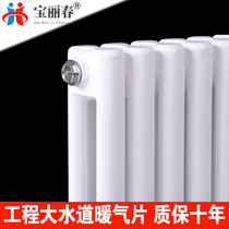 Radiator household plumbing steel wall-mounted radiator steel two-column central heating 5025 large waterway toilet