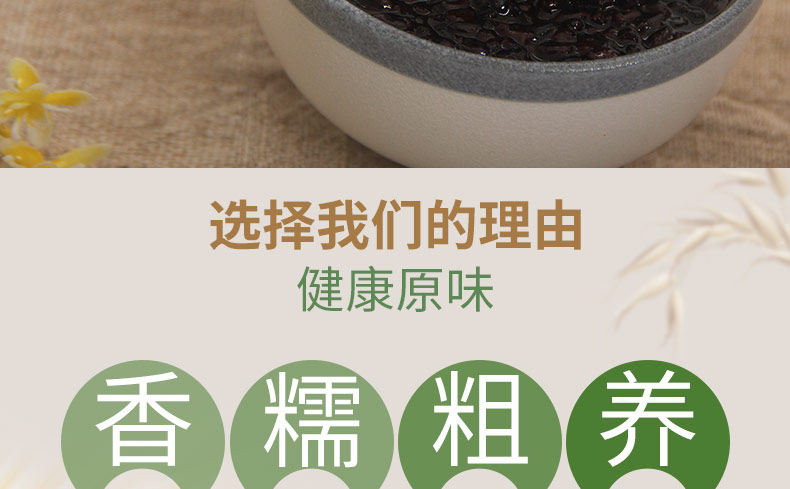 Black Rice_09.jpg