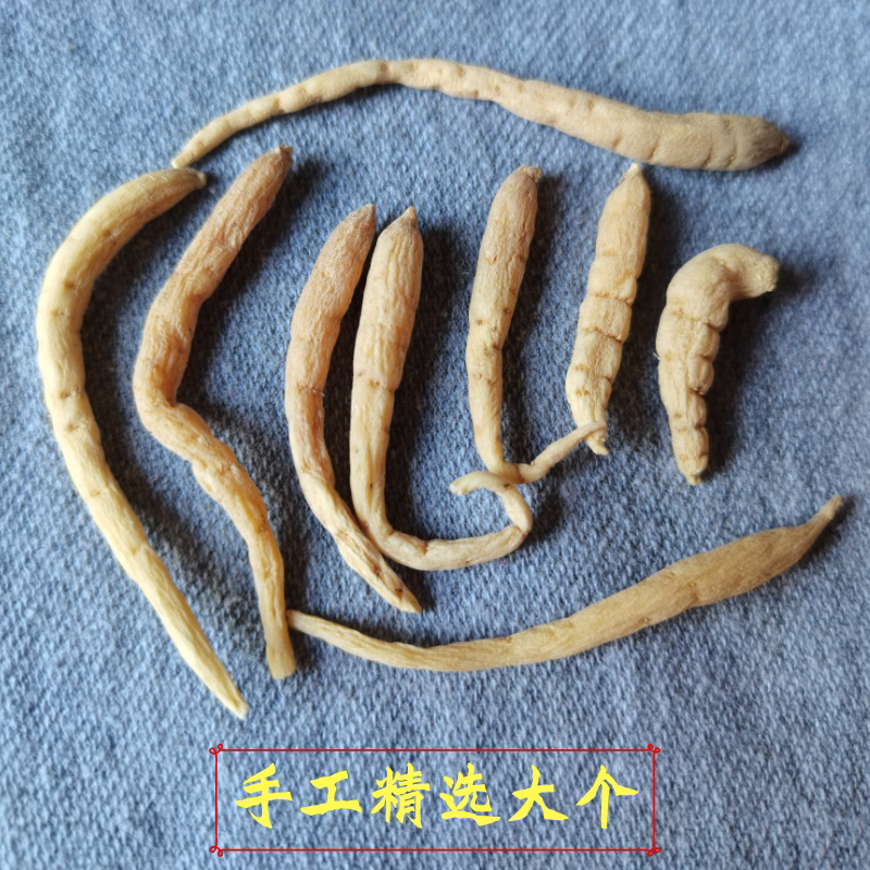 たらこ様専用 たらこ様専用 レトロ雑貨10点【公式通販】
