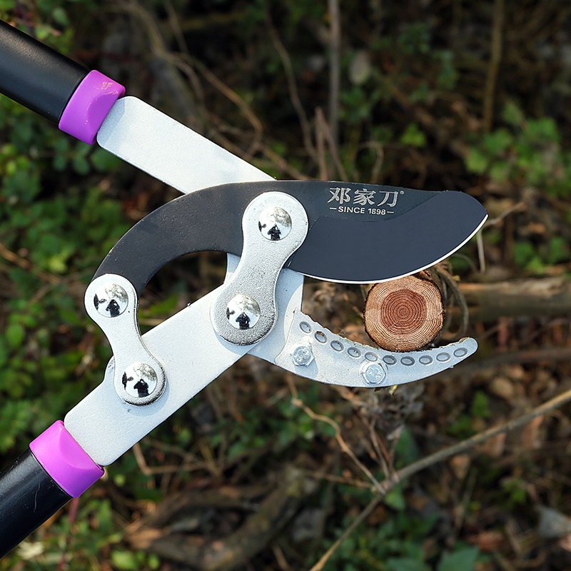 Dengjia knife high branch scissors branch pruning artifact garden fruit tree pruning tool gardening lengthened high-altitude pruning shears