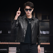 Haining genuine leather jacket mens waxed calfskin lapel short motorcycle dad leather jacket spring and autumn thin coat trendy