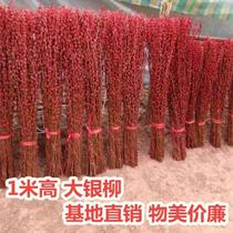Silver willow real flower 1 meter Silver willow fresh branches New Years eve flowers Silver willow dried flowers can be dried can be raised in water can be 20
