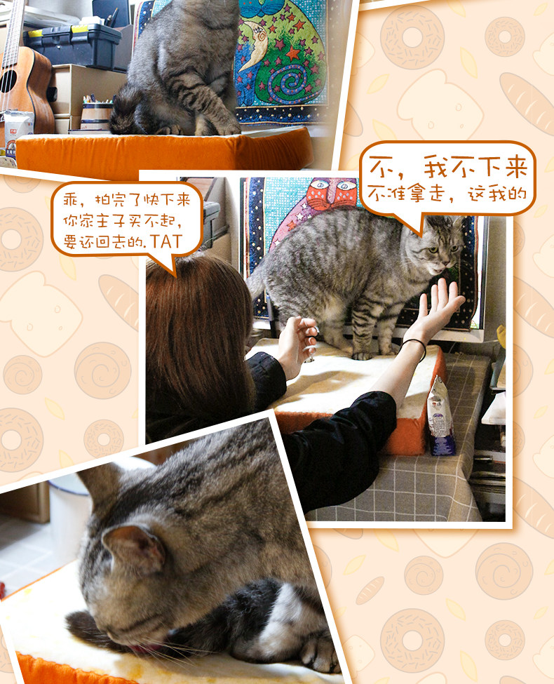 Peluche manga en peluche classe spoof - Ref 2695208 Image 15